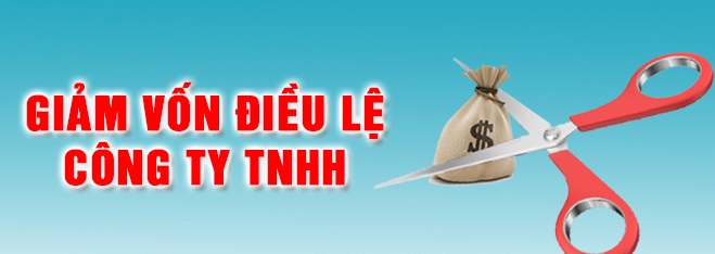 giảm-vốn-điều-lệ-công-ty-TNHH-1-thành-viên.jpg