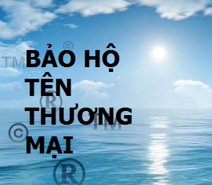bao ho nhan hieu theo HDT dich vu so huu tri tue.jpg