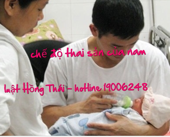 luật hồng thái